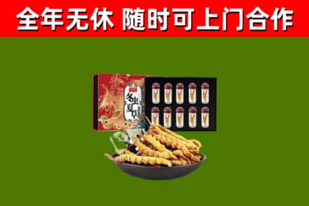 古冶区回收冬虫夏草价格