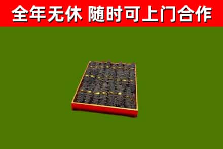 古冶区回收海参